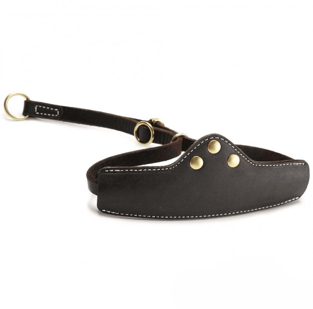 Dog collar w/ raised design / Brown Leather – Brass accents