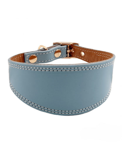 Dog collar, Smooth leather greyhound collar with golden accents