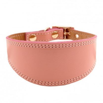 Dog collar, Smooth leather greyhound collar with golden accents
