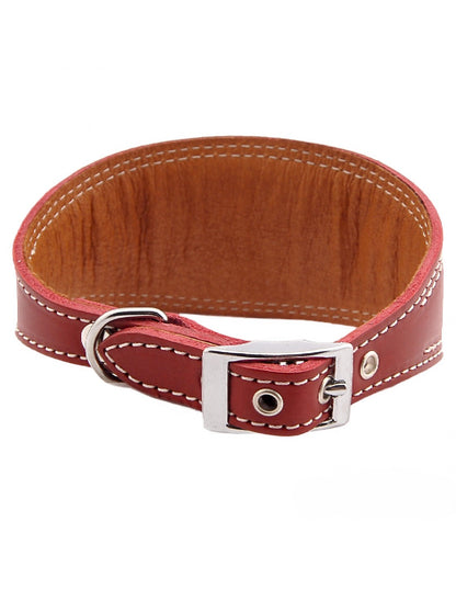Dog collar, Smooth leather greyhound collar with silver accents